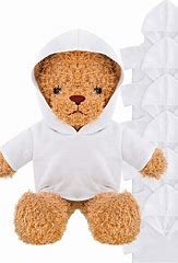 Personalized teddy bear t-shirt and hoodie